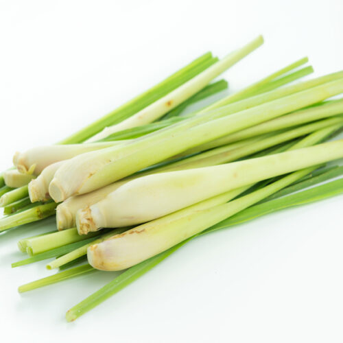 Lemongrass