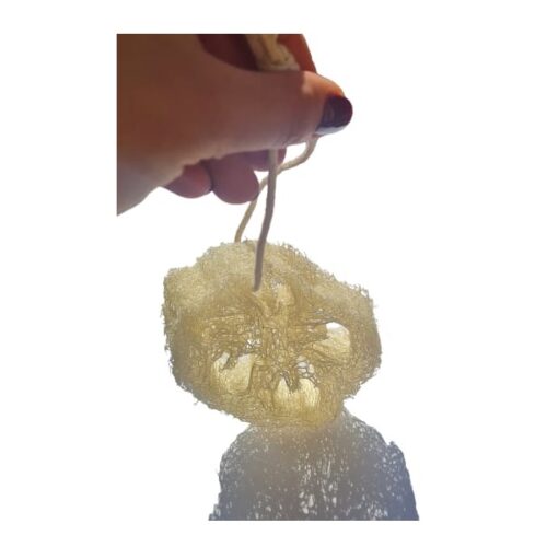Luffa mit Baumwollschnur_2 Luffa mit Baumwollschnur_2